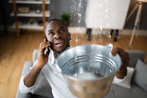 Best Mold removal after water damage  in Wood River, NE
