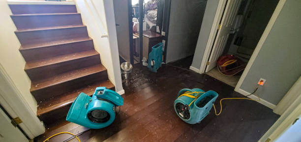Best Emergency water damage restoration  in Wood River, NE