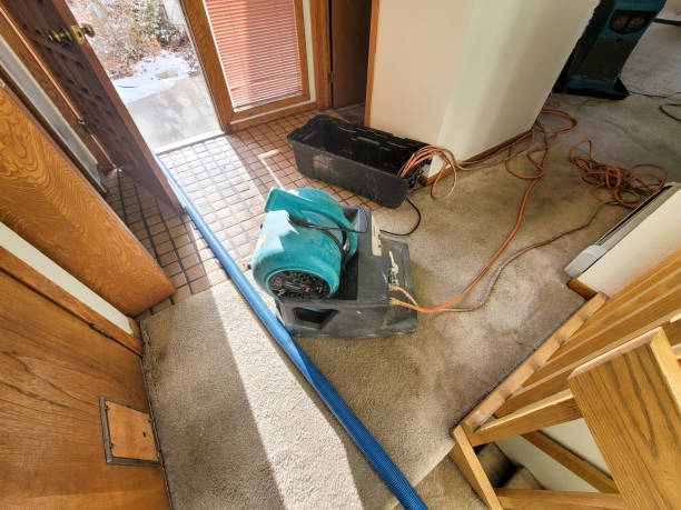 Best Water damage contractors near me  in Wood River, NE