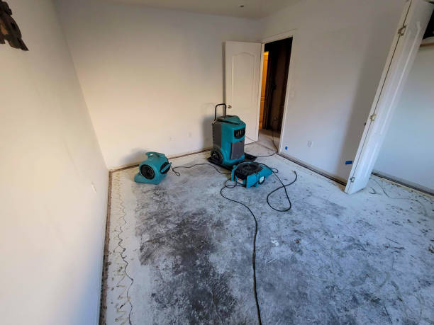 Best Commercial water damage restoration  in Wood River, NE