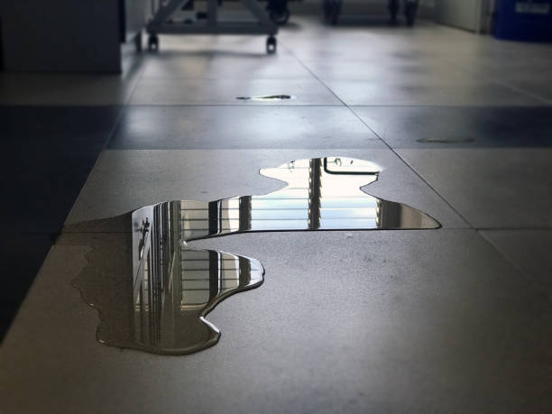 Best 24-hour water damage restoration  in Wood River, NE