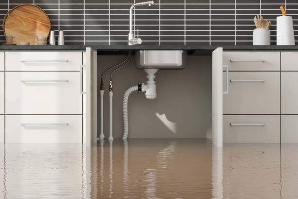 Best Commercial water damage restoration  in Wood River, NE