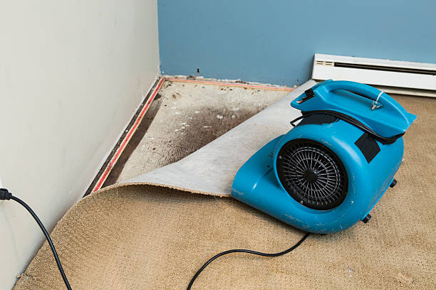 Best Ceiling water damage repair  in Wood River, NE